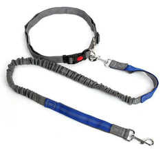 img_5037884