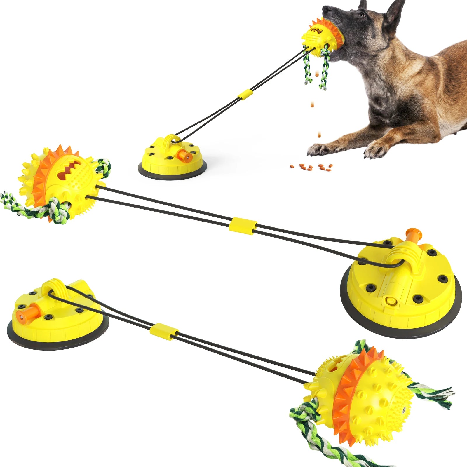 img_5100247