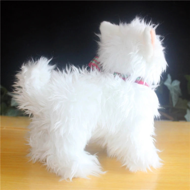 img_5089086