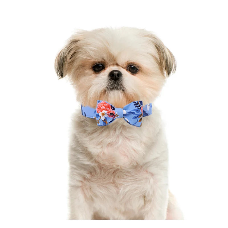 img_5022413