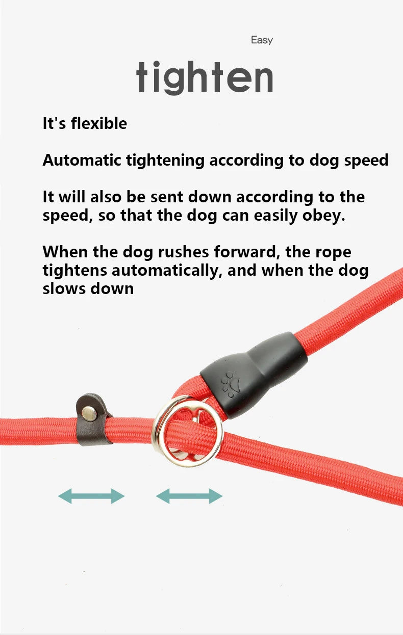 img_5028006