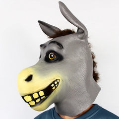img_2561240