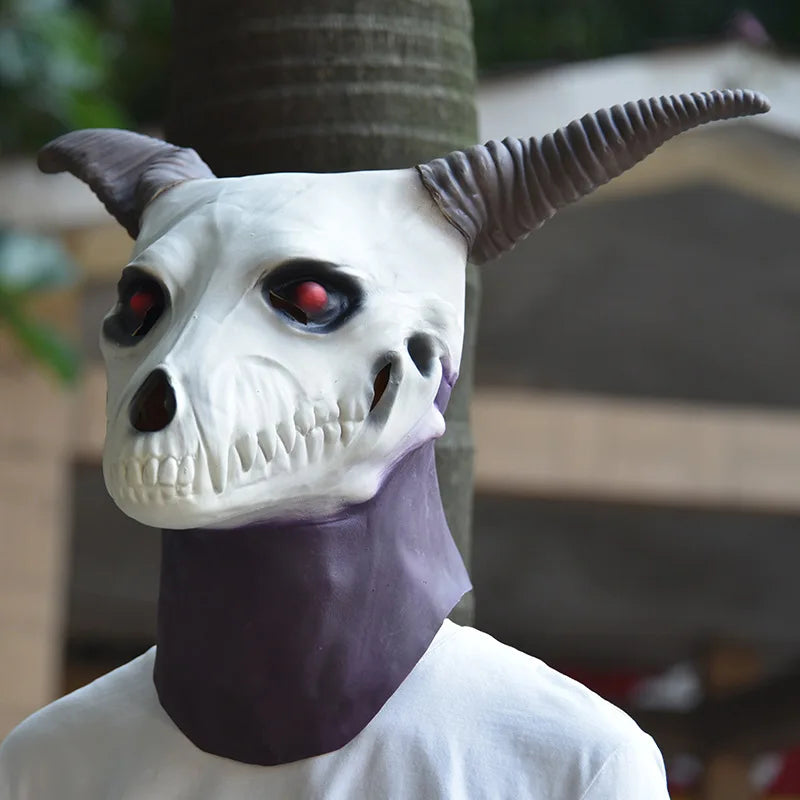 img_2562054