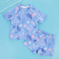 img_1678284