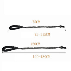 img_5032608