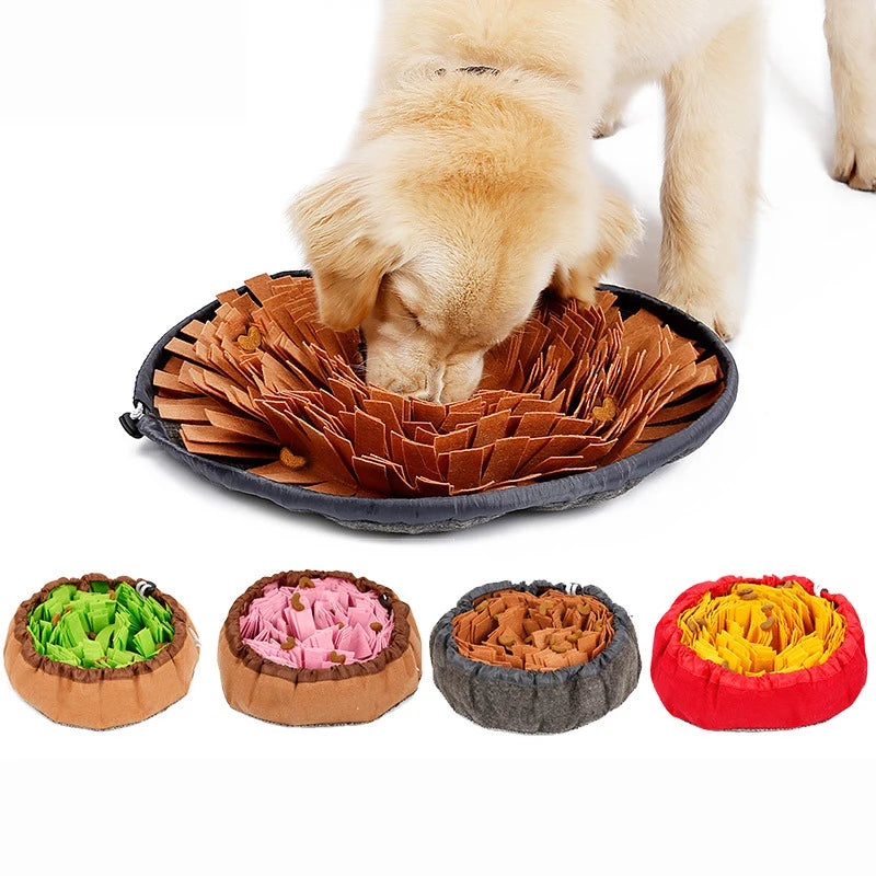 img_5089726