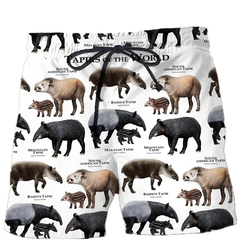 img_2103111