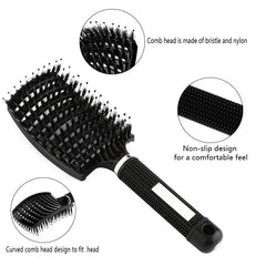 img_413646