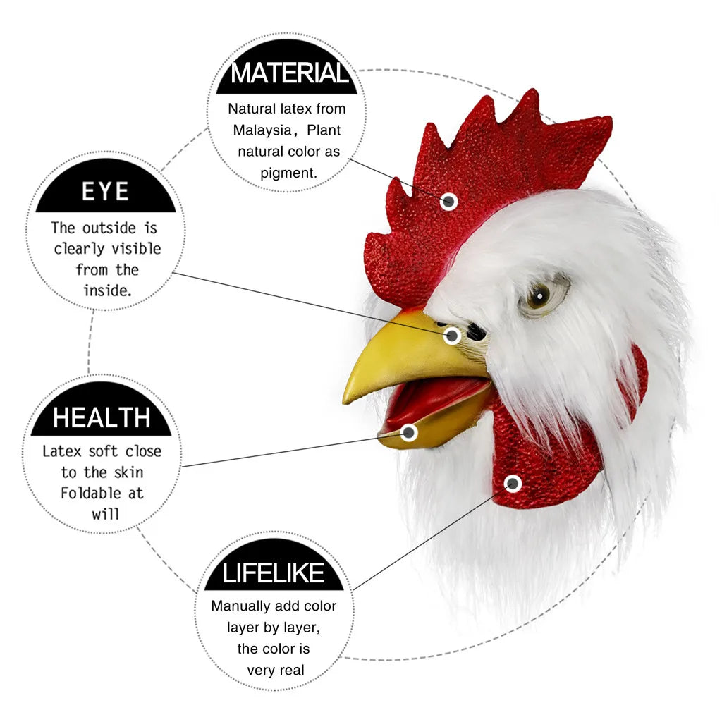 img_2562044