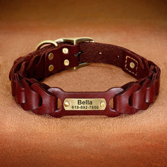 img_5019996