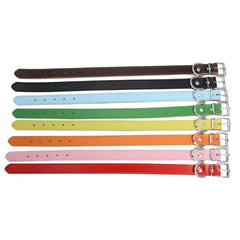 img_5023845