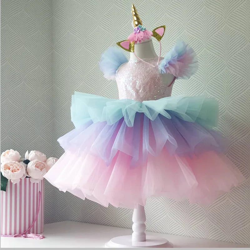 img_2555481