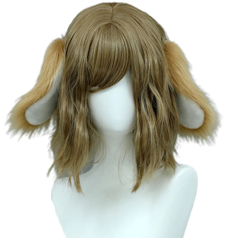 img_2648700