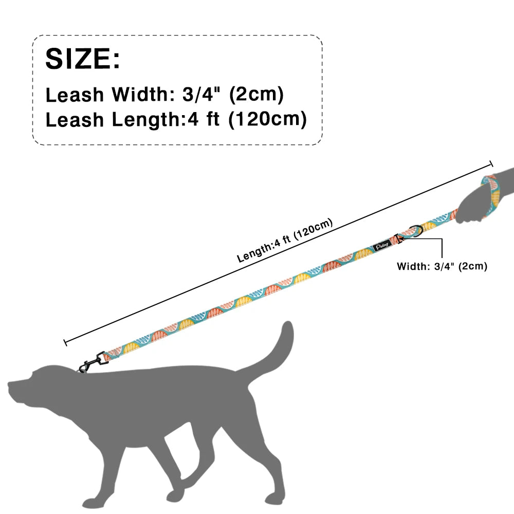 img_5040896