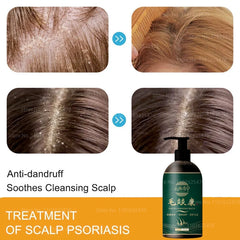 img_380086