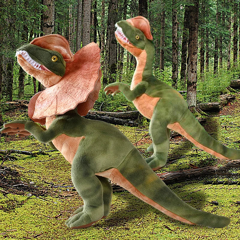 img_4994167
