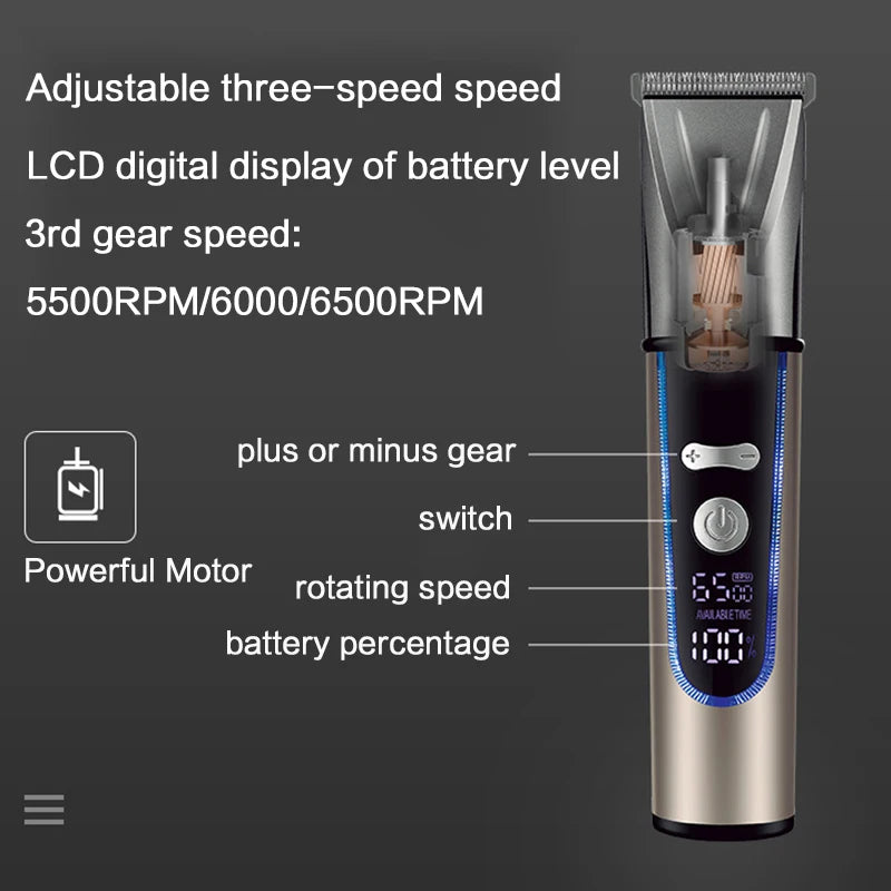 img_383526