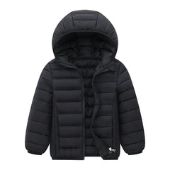 img_1591135