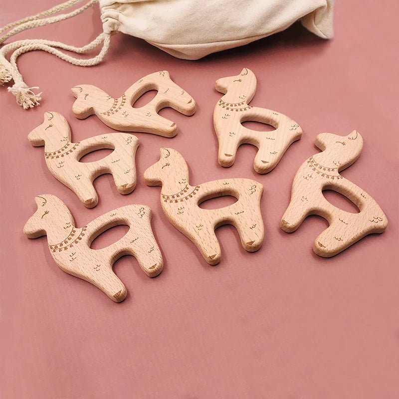 img_1261569