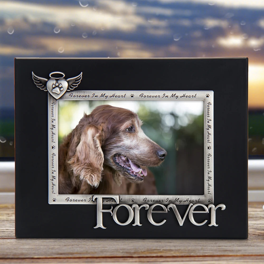img_5123104