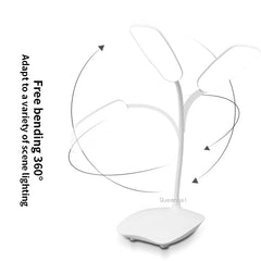 img_299068