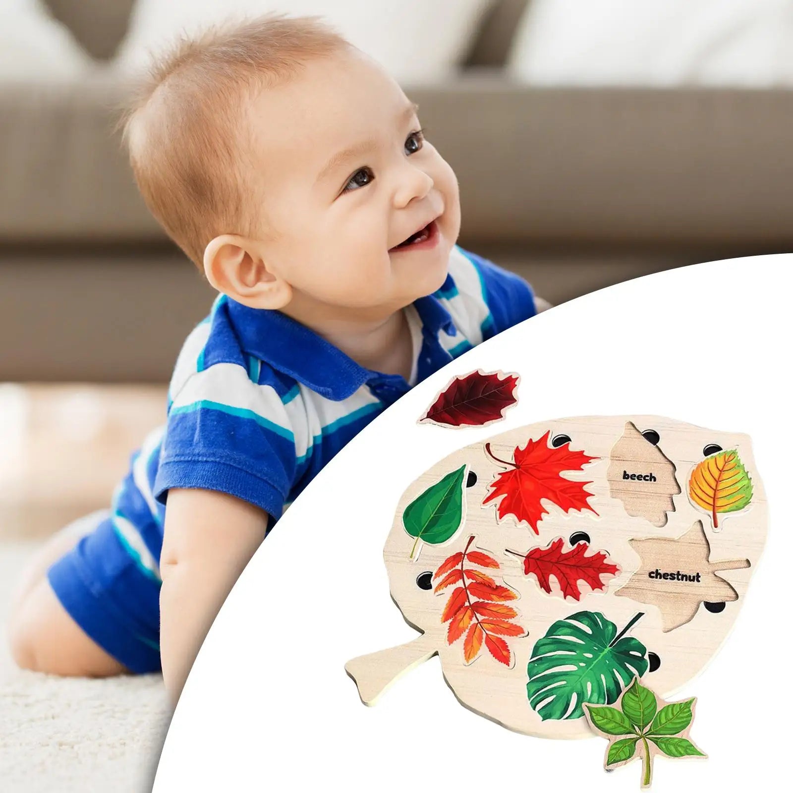 img_2806512