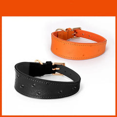 img_5020337