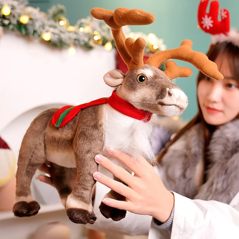 img_2929691