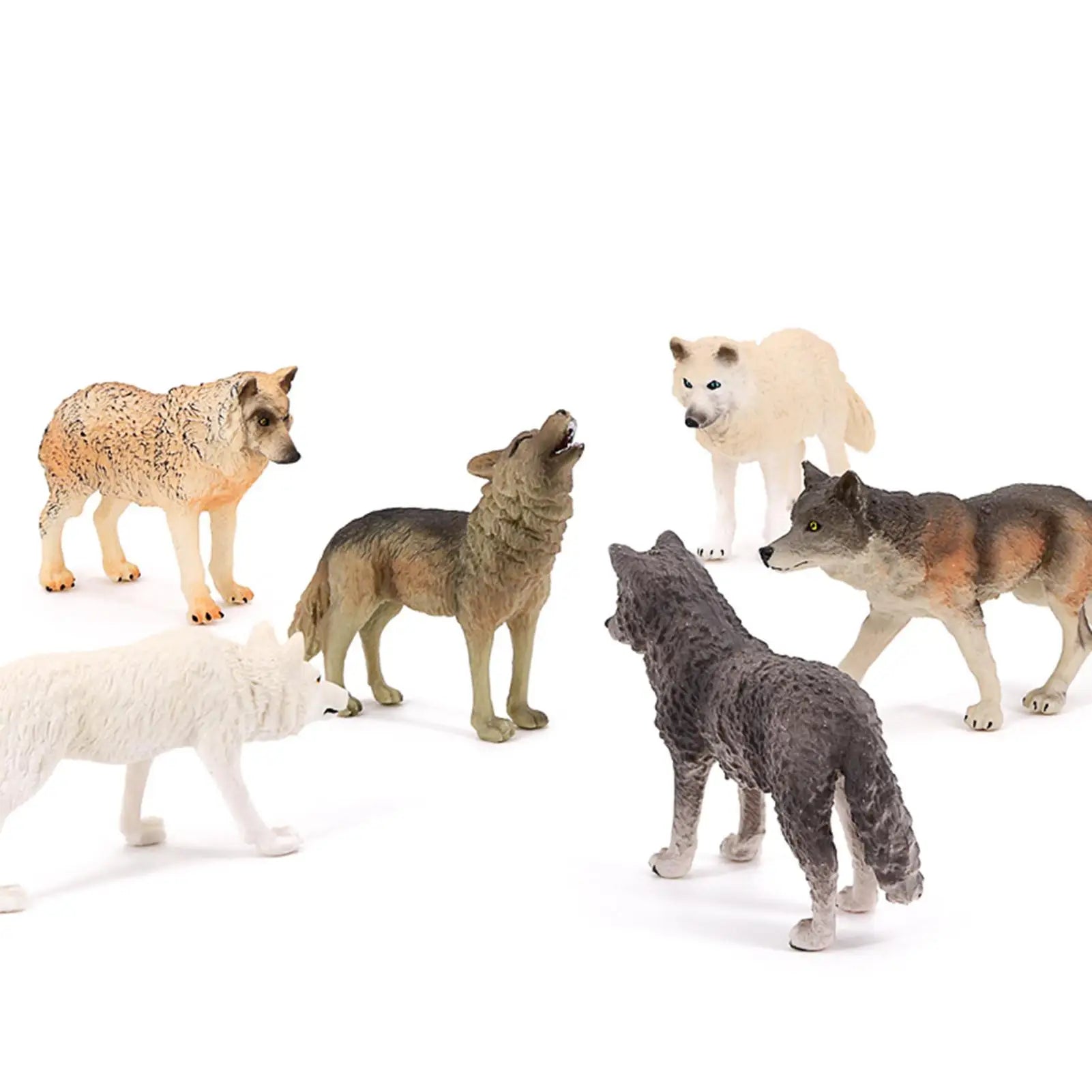 img_4953221