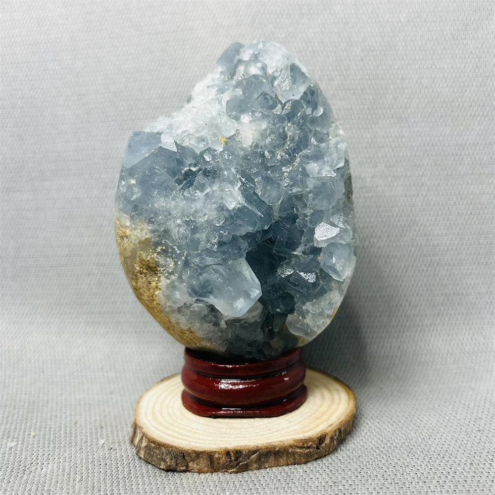 img_19049