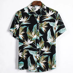img_2430606