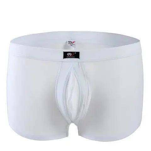 img_2585138