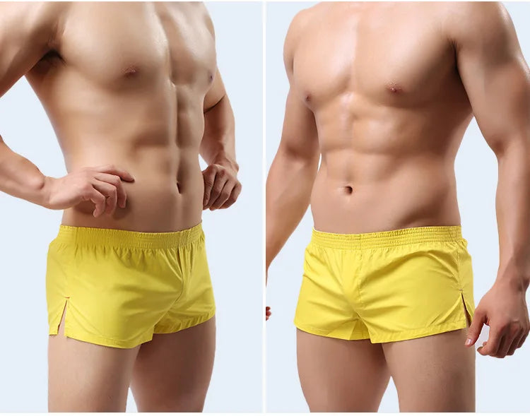 img_2585253