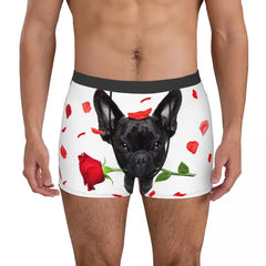 img_2638441