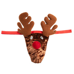 img_2597482