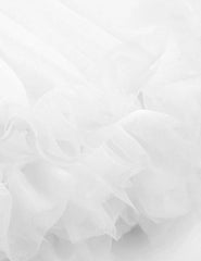 img_2597983