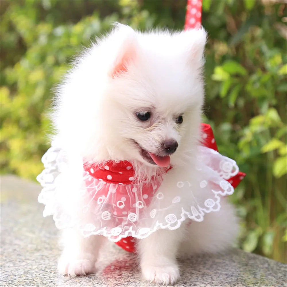 img_5027634
