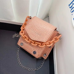 Mini Crossbody Bag with Chain Rivet Purse