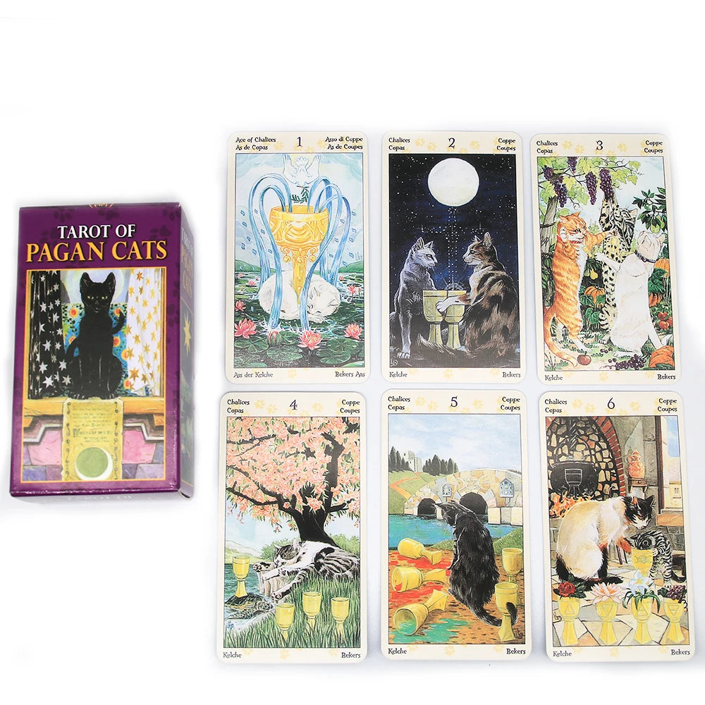 img_2772896