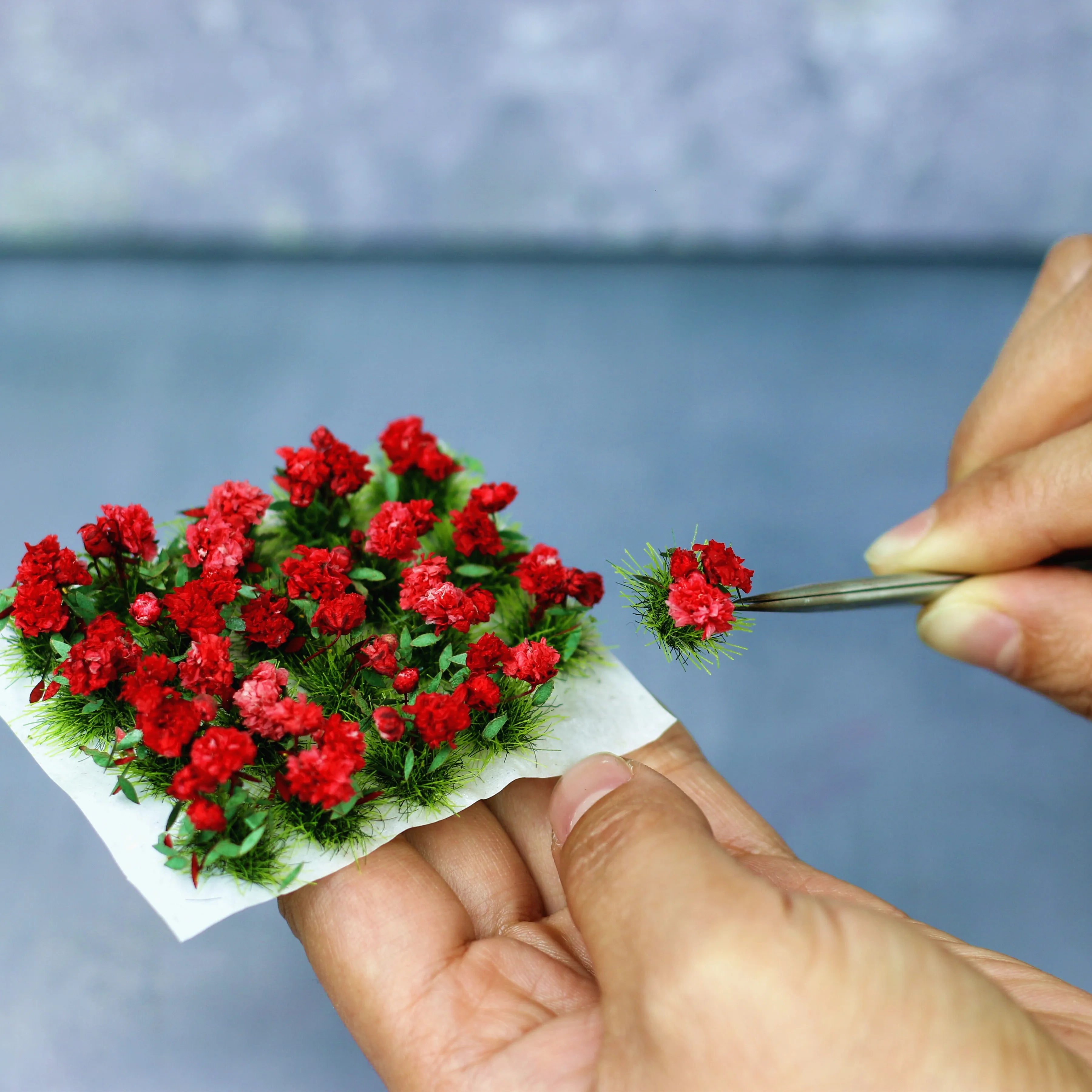 img_2843538
