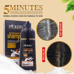 img_385029
