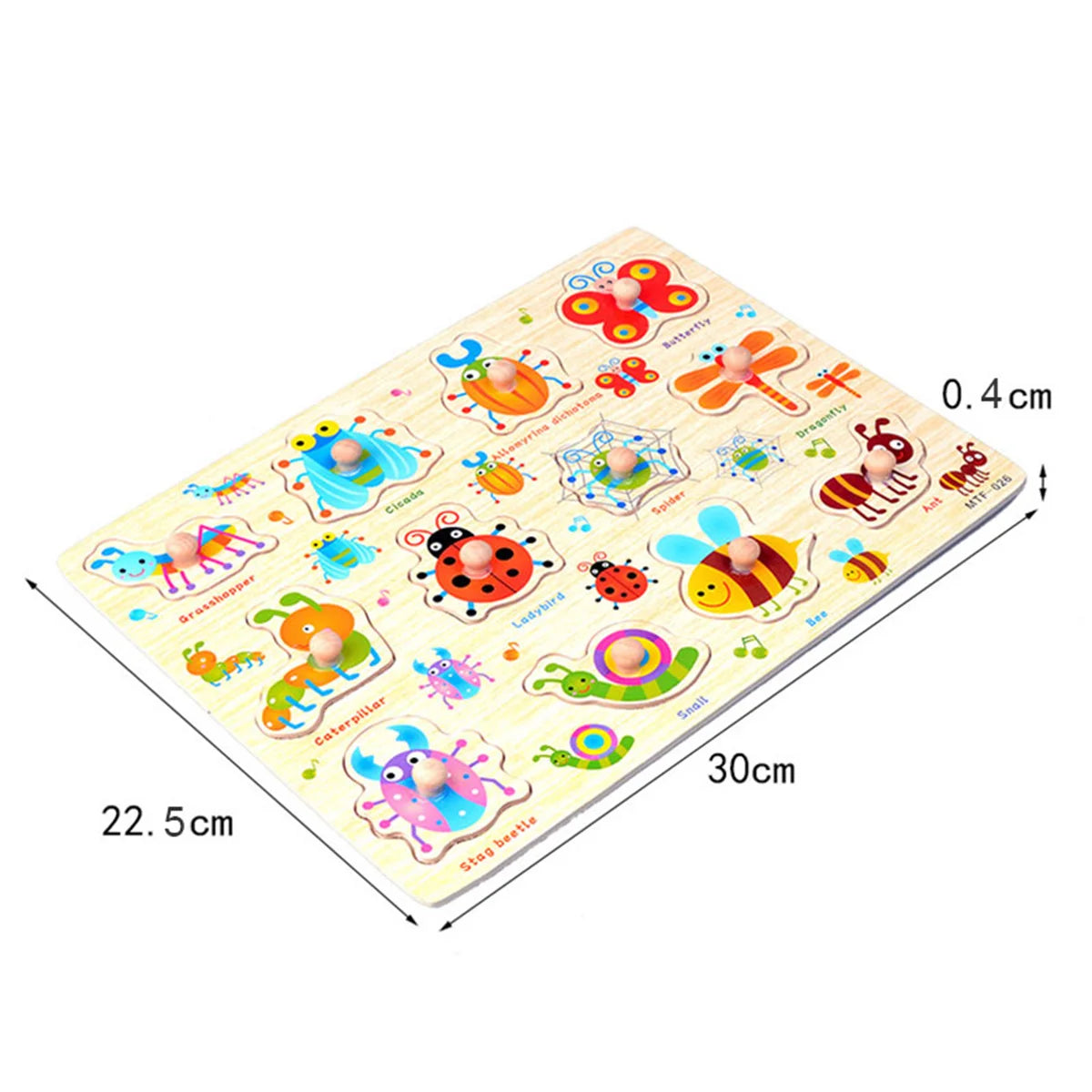 img_2810131