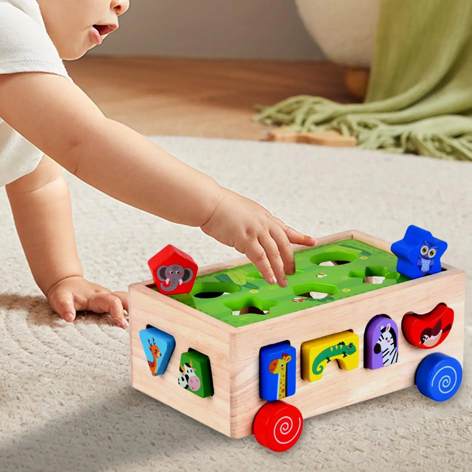 img_2808375