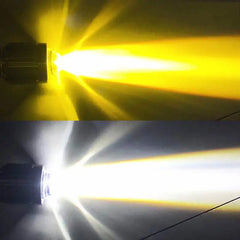 img_284043