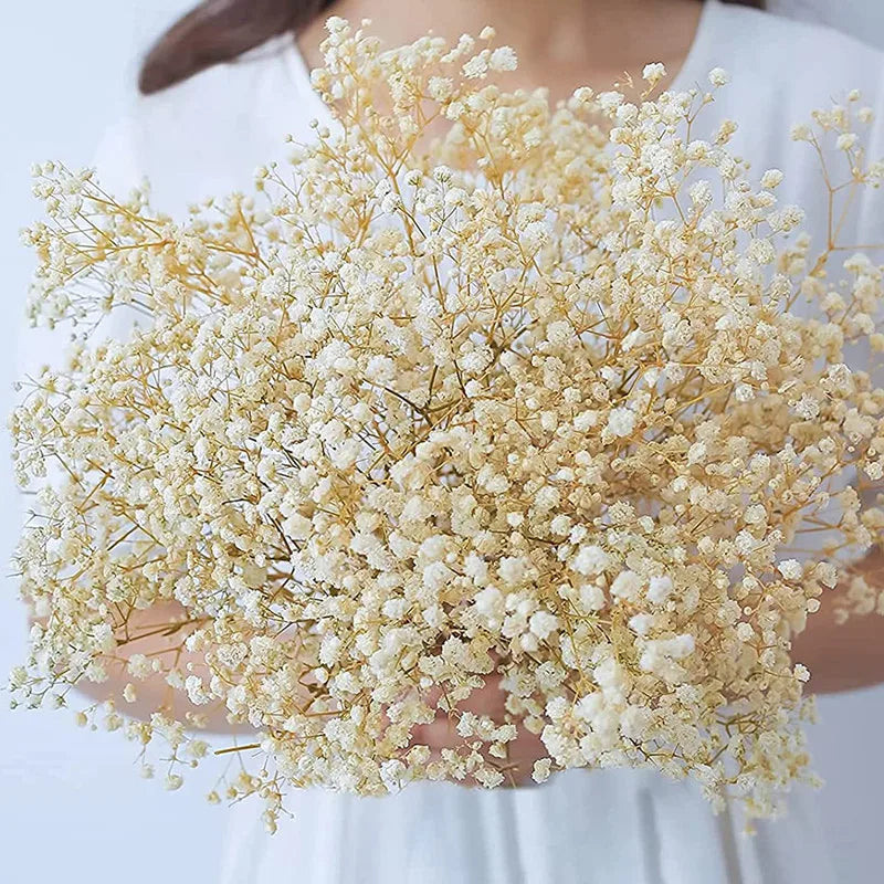 img_7397359