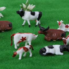img_2726260