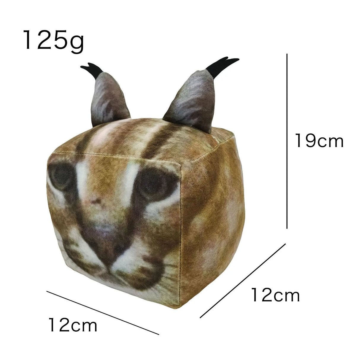 img_2935881