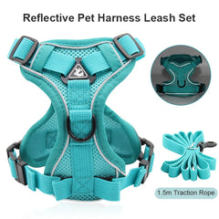 img_1246929