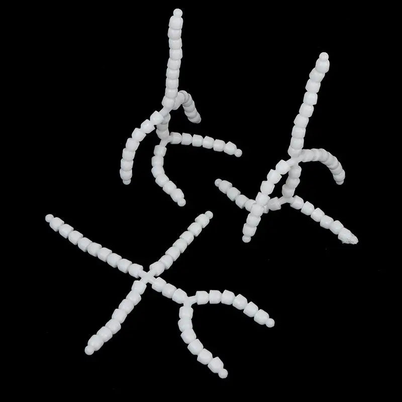 img_2974561