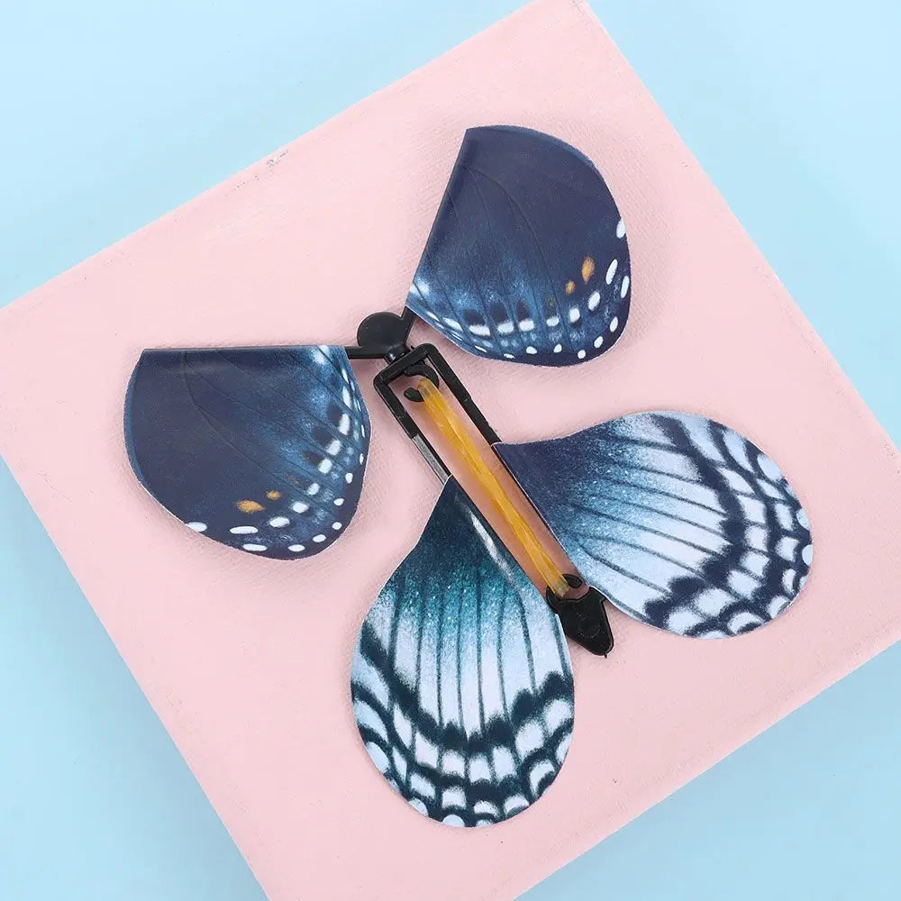 img_2876981